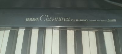Yamaha Electronic Professional Piano CLP250