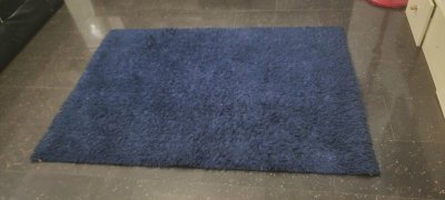 Blue Center Rug (Fluffy)
